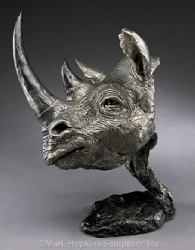 Black Rhino by Mark Hopkins
