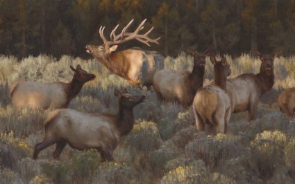 Social Hour by Kyle Sims, Elk