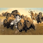 In Pursuit of the White Buffalo By Frank C. McCarthy