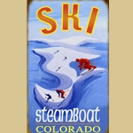 Icy Blue Skiing Sign