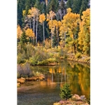 iver Reflection, Barry Bailey Photography, Landscape,  Gallery Steamboat Springs, Downtown Steamboat.   Mountain Traditions.  Aspen Photography.   Gallery Wrap.