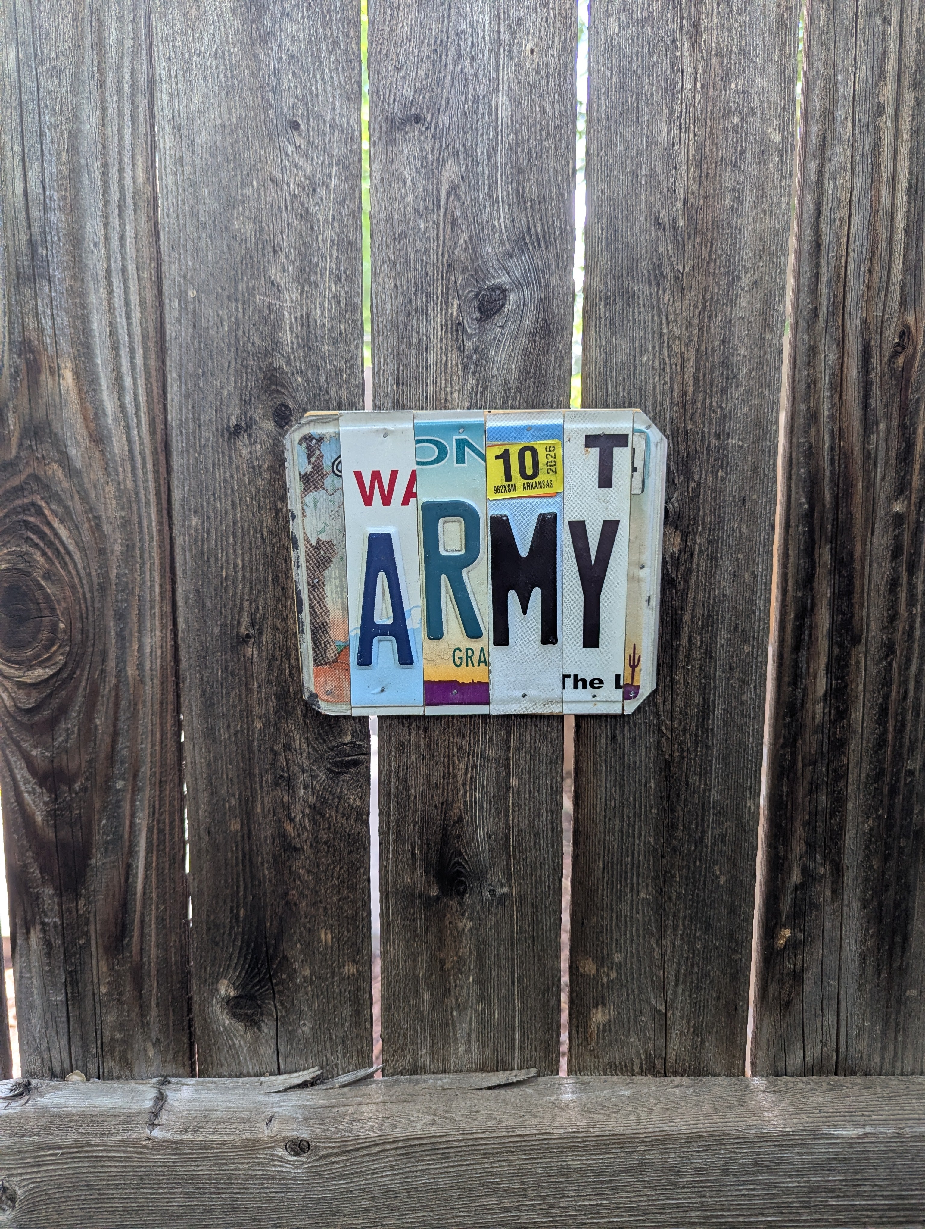 Arny  — One-of-a-Kind License Plate Wall Art (Ready to Ship)