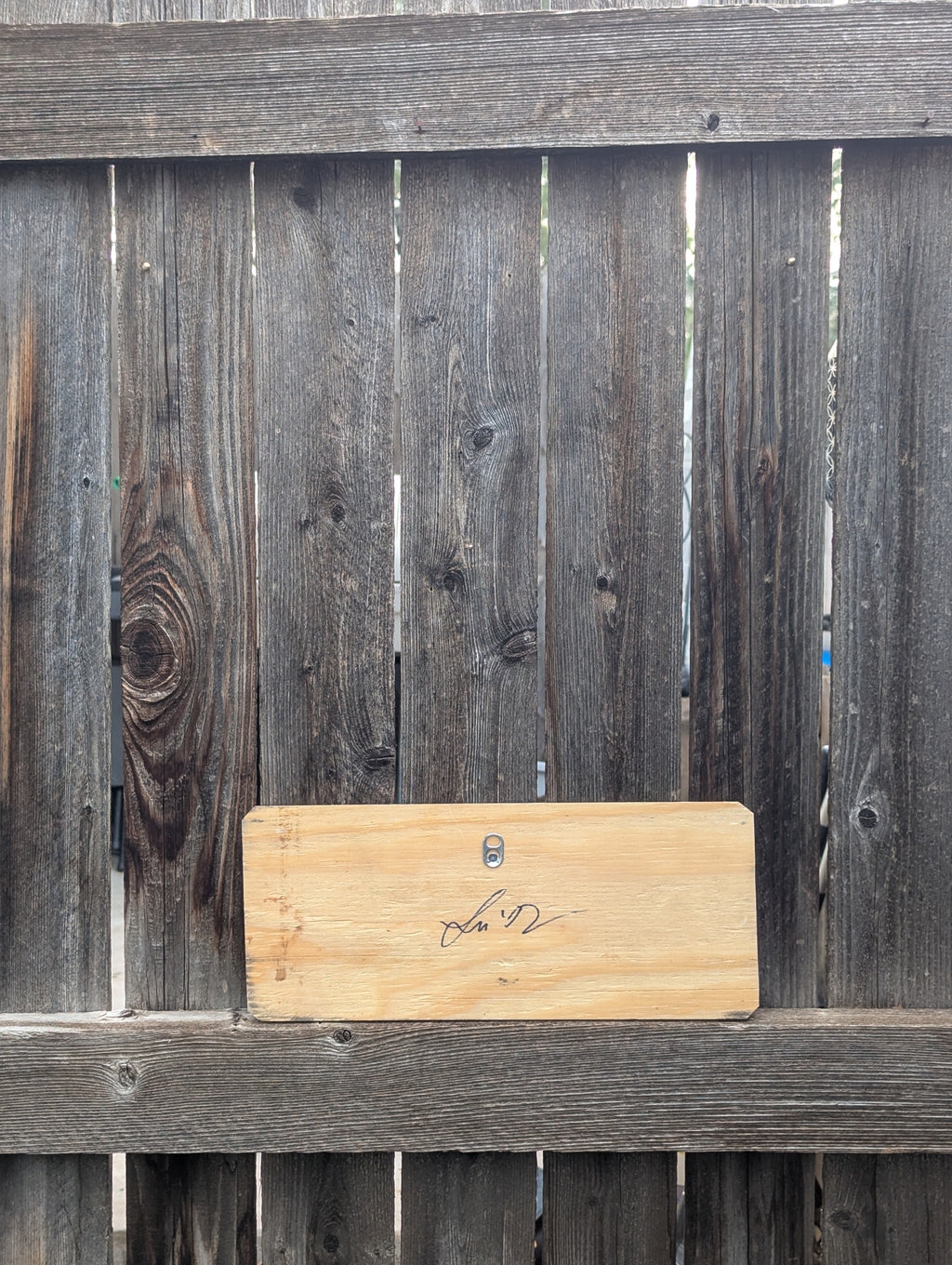 You Are My Sunshine- License Plate Wall Art – (Specialty)