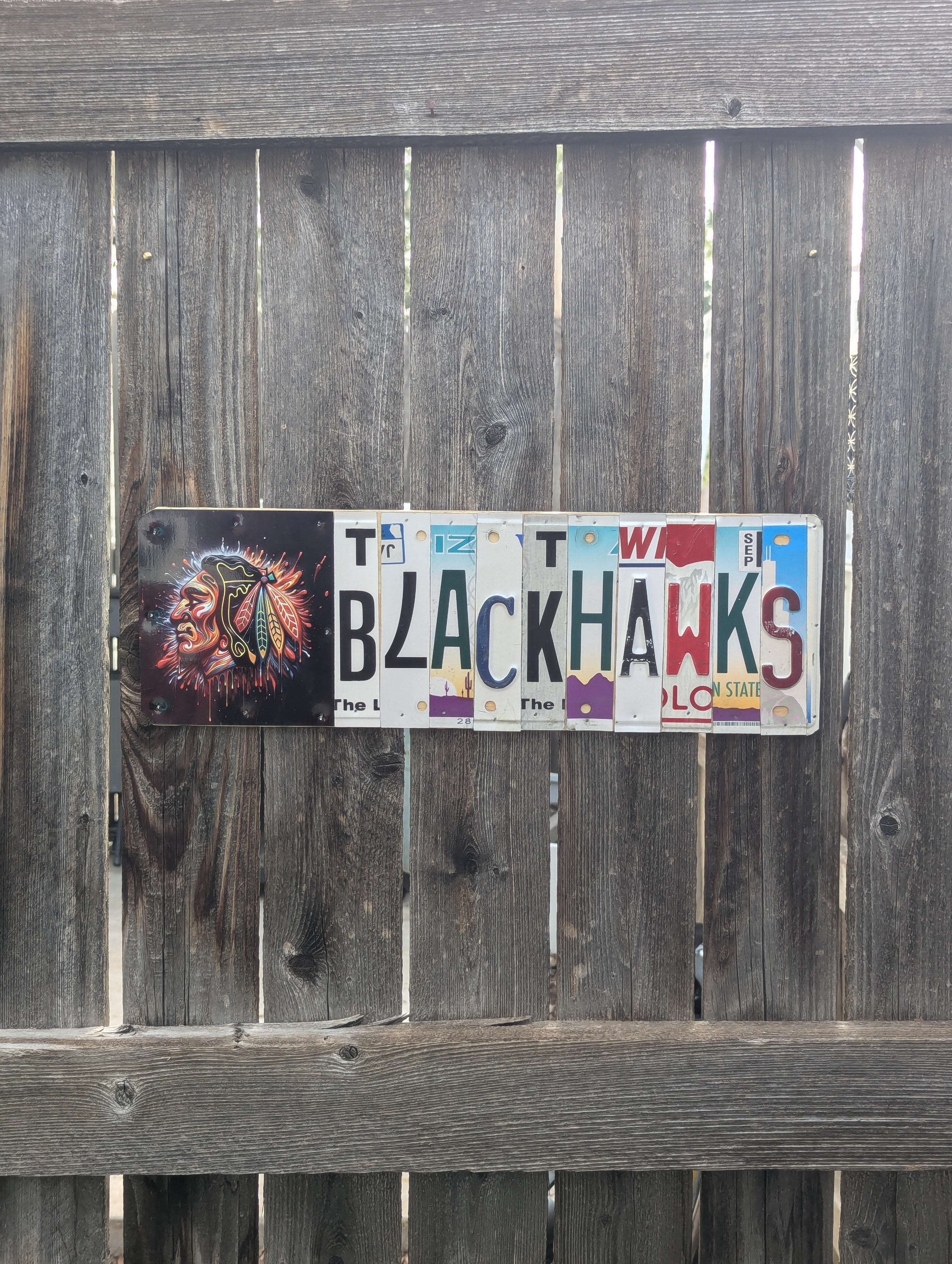 Blackhawks- License Plate Wall Art – (Specialty)
