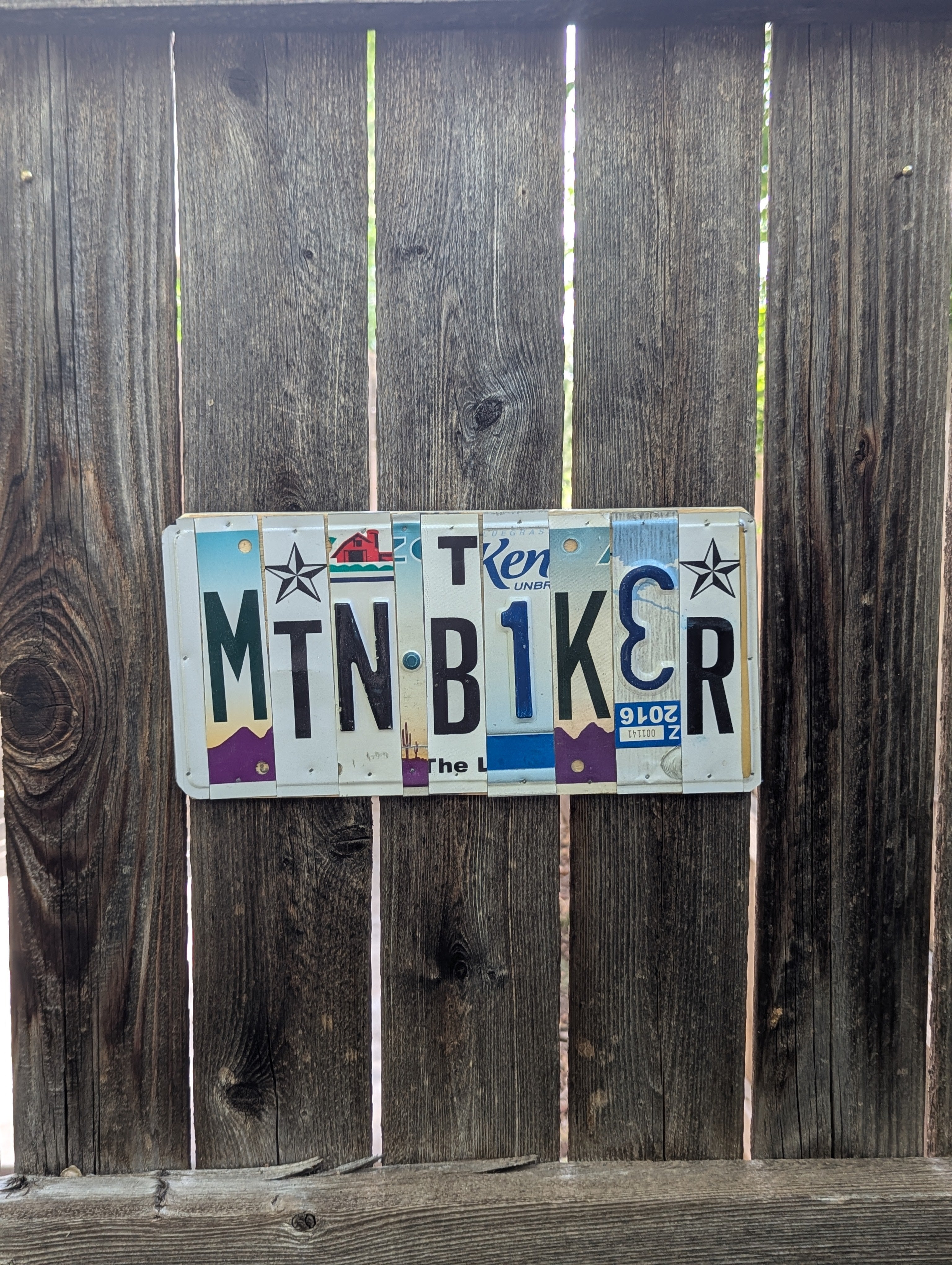Mtn Biker - One-of-a-Kind License Plate Wall Art (Ready to Ship)
