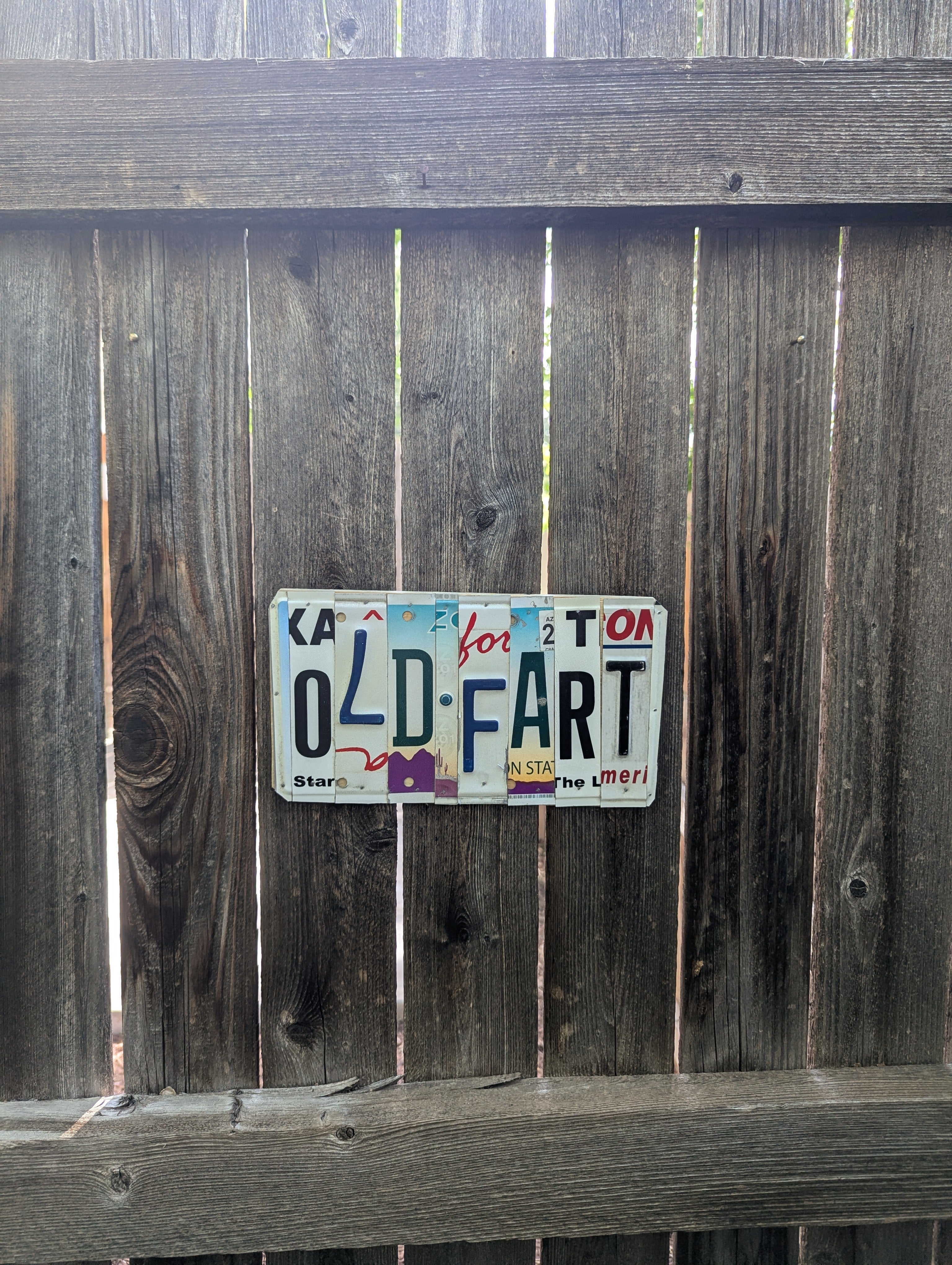 Old Fart  — One-of-a-Kind License Plate Wall Art (Ready to Ship)