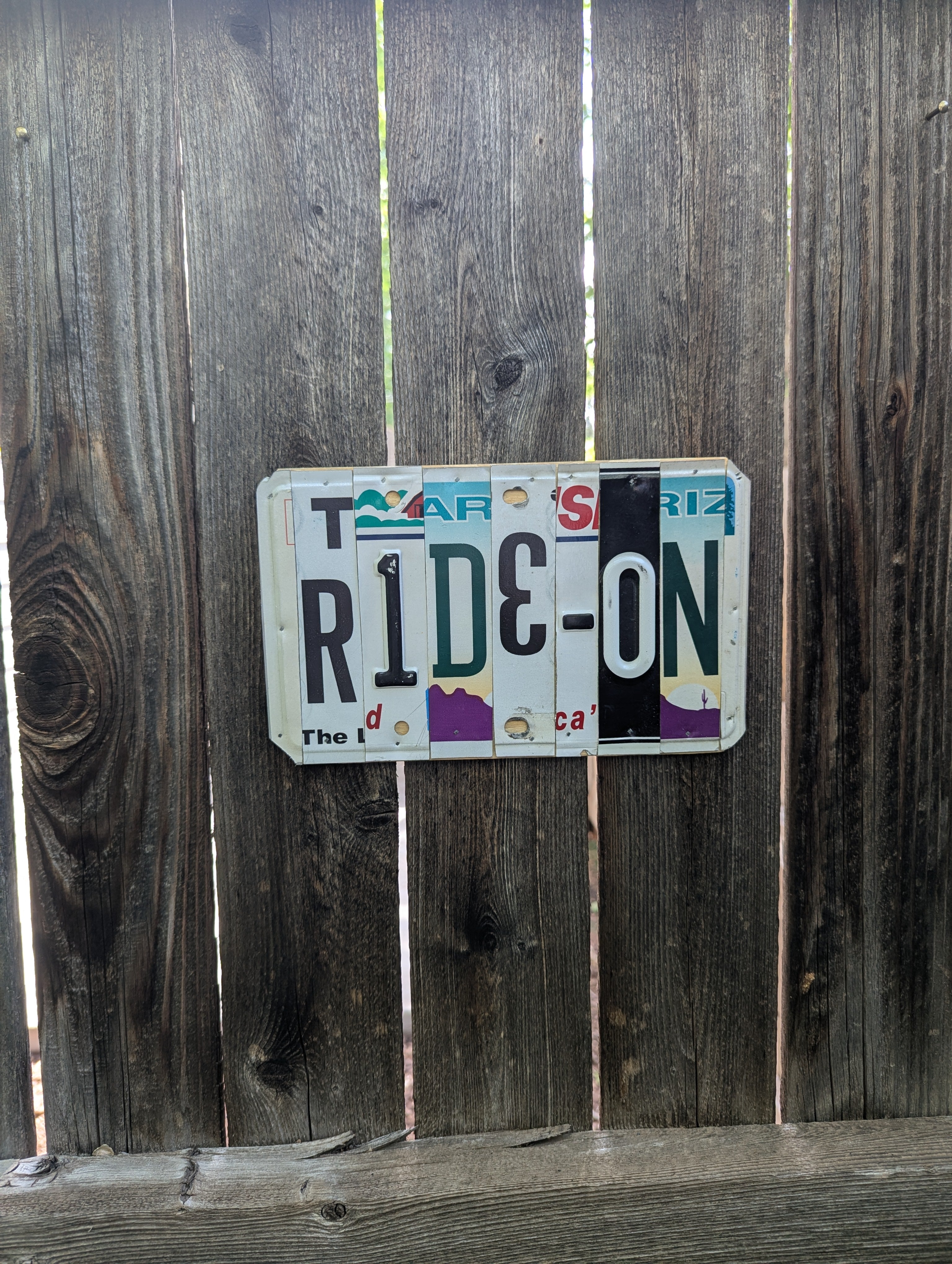 Ride On  — One-of-a-Kind License Plate Wall Art (Ready to Ship)