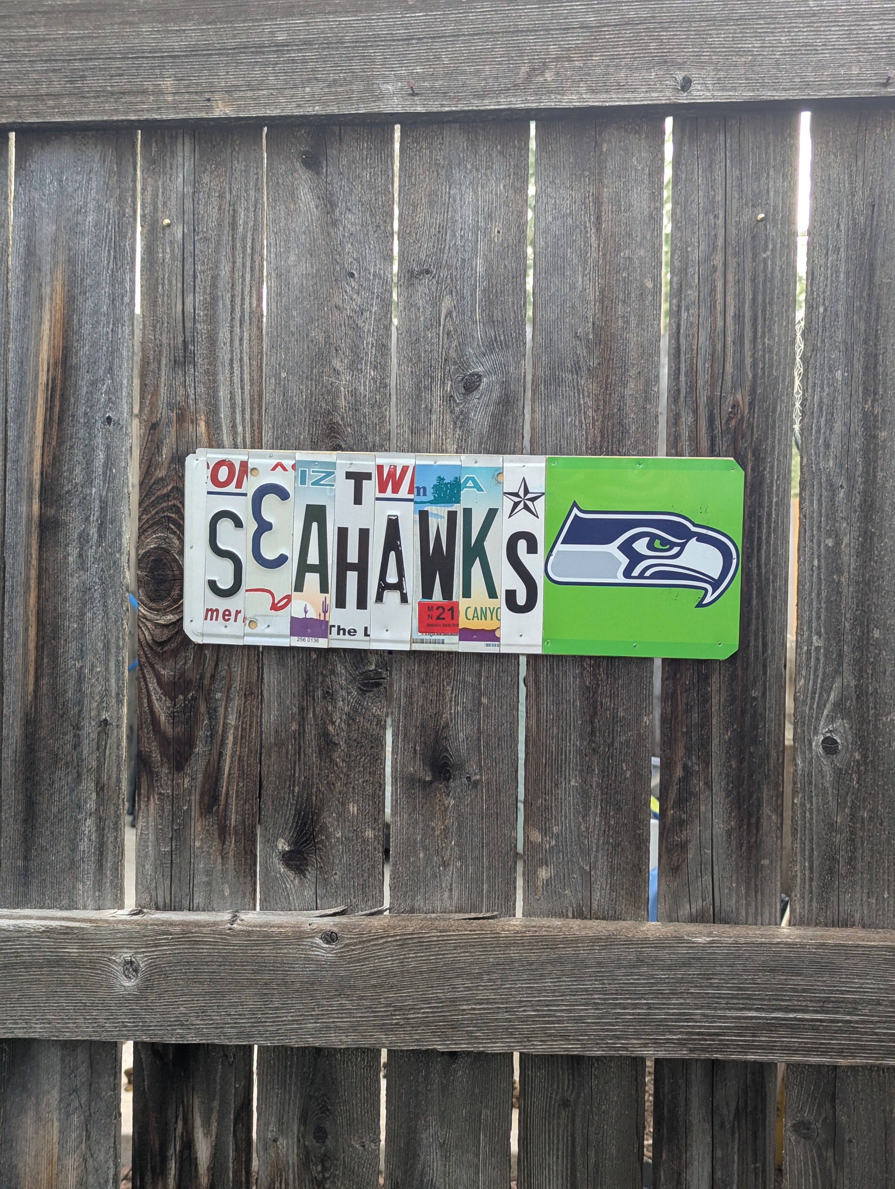 Seahawks  — One-of-a-Kind License Plate Wall Art (Ready to Ship)