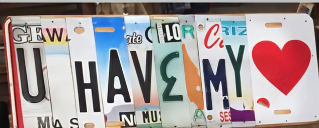 Custom License Plate - You Have My Heart