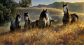 "Amazing Grays III" Nancy Glazier - Giclee on canvas  20 x 40 S/N 250