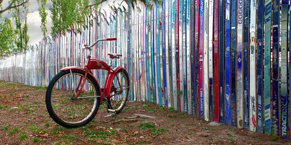 "Best of Both Worlds" Todd Van Fleet - Giclee on canvas  20 x 40