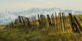 "Better Days" – Robert Dawson - Giclée on Canvas 24 x 48 Signed