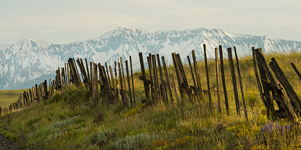 "Better Days" – Robert Dawson - Giclée on Canvas 24 x 48 Signed