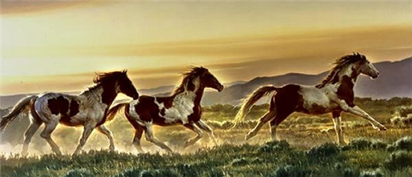 "Early Morning Run" Nancy Glazier - Giclee on canvas  20 x 40 S/N 250