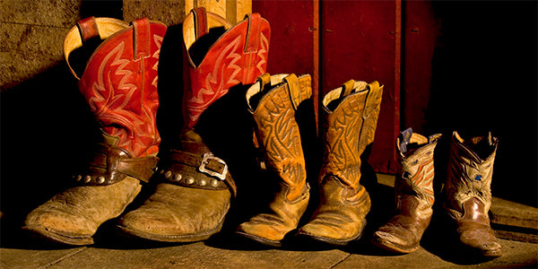 "Family of Boots" – Robert Dawson | Giclée on Canvas 24 x 48 Signed