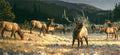 "Rocky Mountain Meado" Nancy Glazier - Giclee on canvas  20 x 40 S/N 250