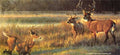 "Shadow Tales" Nancy Glazier - Giclee on canvas  20 x 40 S/N 250