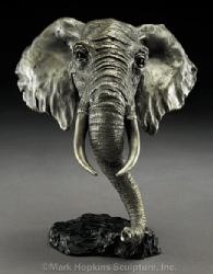 African Elephant by Mark Hopkins