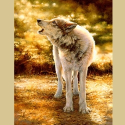 Wolfsong by Bonnie Marris