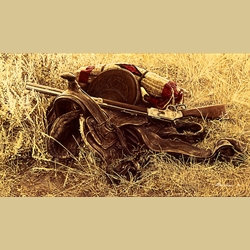 1880's Still Life of Saddle and Rifle