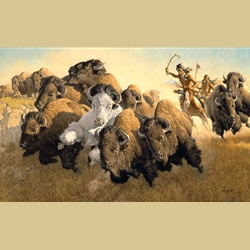 In Pursuit of the White Buffalo By Frank C. McCarthy