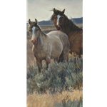 Horses