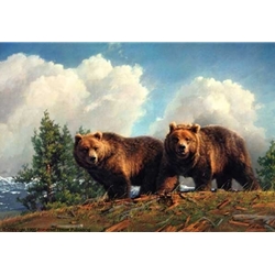 Animals