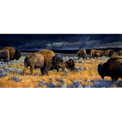 Western Wildlife Prints