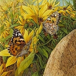 Painted Ladies by Bev Doolittle