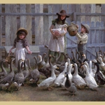 Feeding the Geese By Morgan Weistling