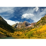 Maroon Bells, Colorado Photography, Gallery Steamboat Springs, Gallery Downtown Steamboat, Aspens, Fall Aspens, Gallery Wrap, Giclee, Colorado Aspens, Barry Bailey, Mountain Traditions, Art, Gallery, Wall decor, Colorado, Aspen Colorado