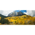Kebler Pass, Colorado Landscape, Steamboat Springs, Photography, Art Gallery Steamboat, Aspen Trees, Giclee Print, Gallery Wrap, Barry Bailey, Mountain Traditions, Gallery, Art, Downtown Steamboat, Crested Butte Colorado