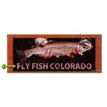 Fly Fish Colorado