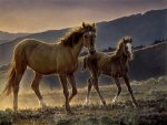 Star & Her Foal by Nancy Glazier