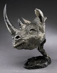 Black Rhino by Mark Hopkins