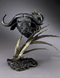 Cape Buffalo by Mark Hopkins