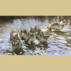 Catch of The Day by Bonnie Marris
