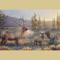 Morning by Nancy Glazier