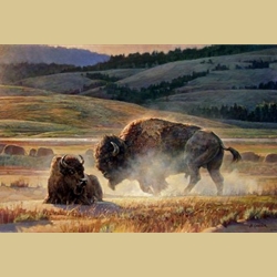Eye of The Storm by Nancy Glazier