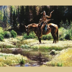 Dragonflies by Martin Grelle