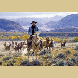 Good Horses and Wide Open Spaces by Tim Cox