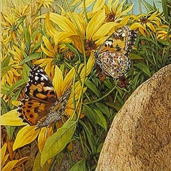 Painted Ladies by Bev Doolittle