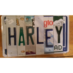 License Plate Artwork, Steamboat Springs, Colorado, Art Gallery Downtown Steamboat, Mountain Traditions