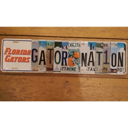 Gator Nation - College