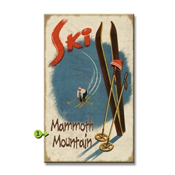 Ski w/ Skis