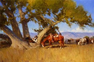 Cottonwood Dreams by Bill Anton