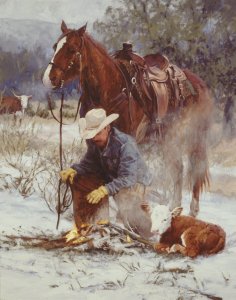 Early Arrival by Bruce Greene