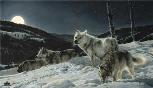 Hunter's Moon by Nancy Glazier