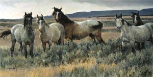 Amazing Grays II by Nancy Glazier