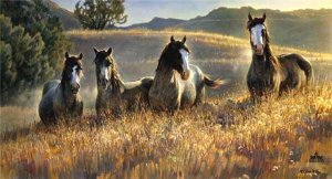 Amazing Grays III by Nancy Glazier